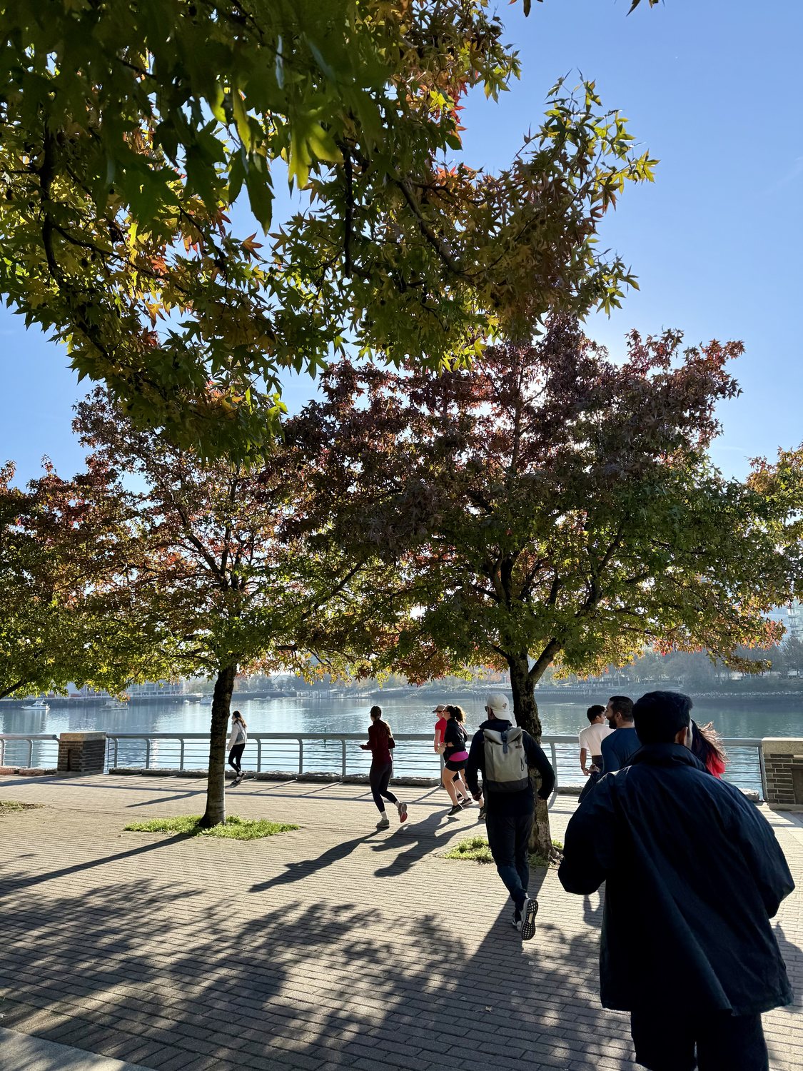 Runners on a tree-lined waterfront path in Vancouver in autumn